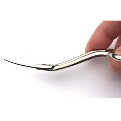 4.25" Double Curved Scissors